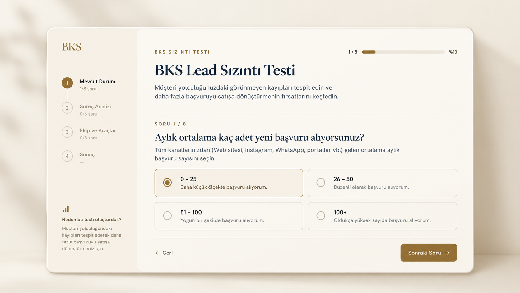 BKS Lead Sızıntı Testi arayüzü